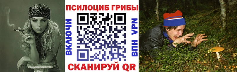 Псилоцибиновые грибы мухоморы  как найти   мега tor  Чаплыгин 